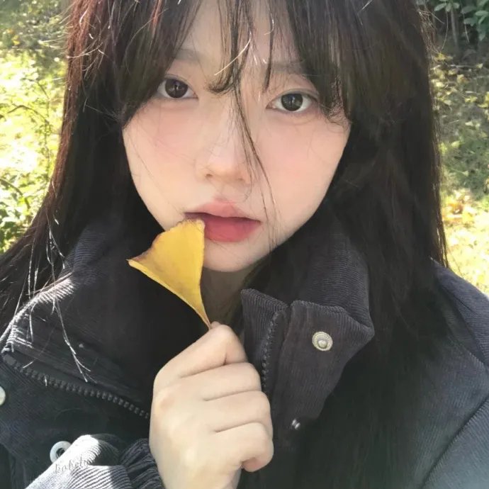 白痴5和哭喊的夫人